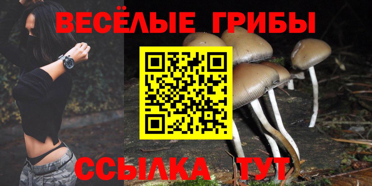 Псилоцибиновые грибы GOLDEN TEACHER  Вход с VPN  Джанкой 